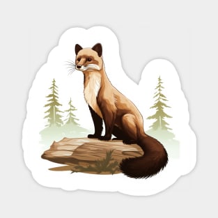 Pine Marten Sticker